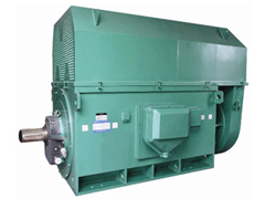 沙河口Y系列6KV高压电机
